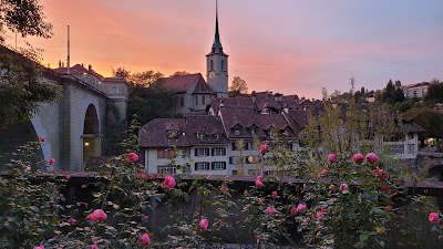 Bern 1