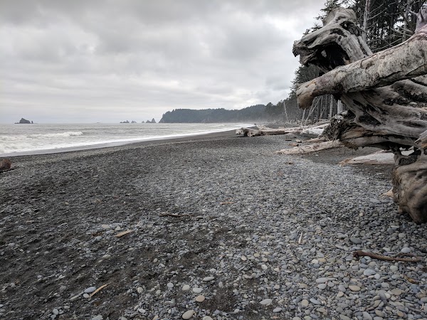 Rialto Beach 2