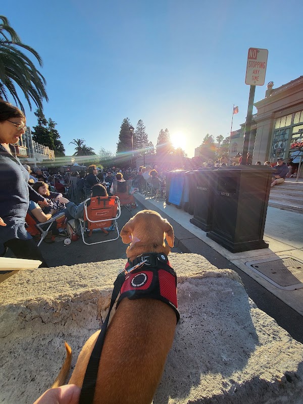 Downtown Streets Team - Redwood City 4