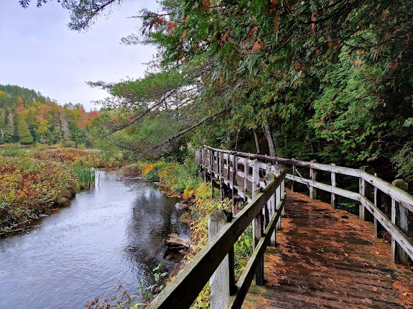 Tahquamenon Falls State Park 2