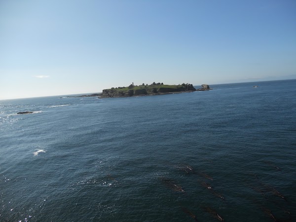 Tatoosh Island