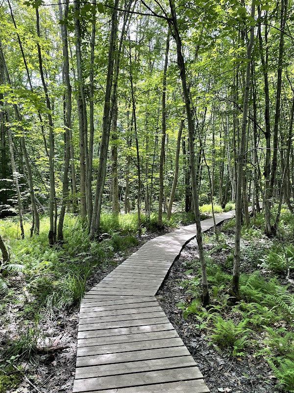Killbear Provincial Park 2