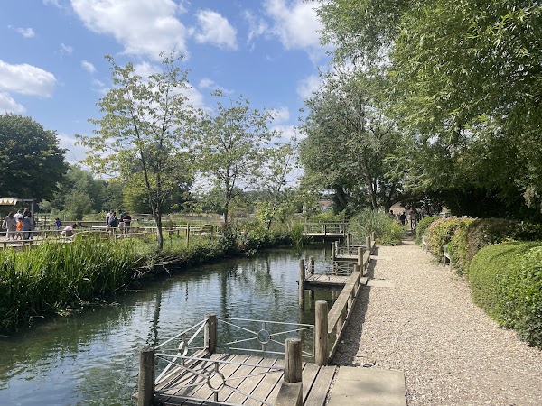 Bibury Trout Farm 5