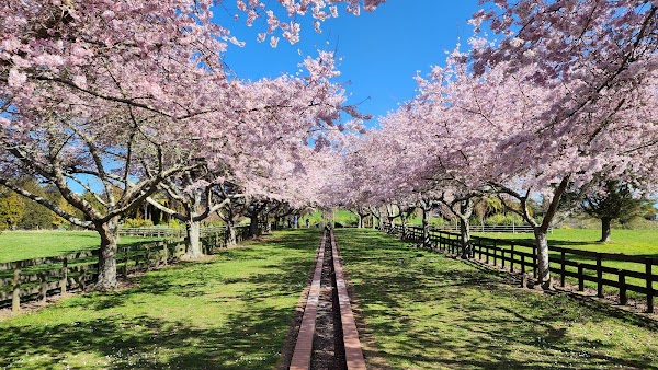 Centennial Park