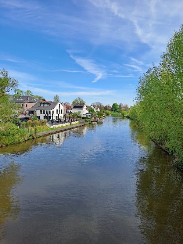 Linge