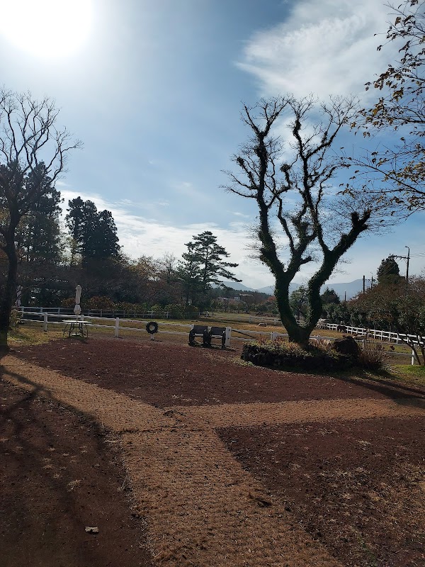 Gilgal farm Land 5