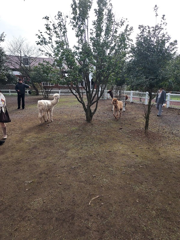 Gilgal farm Land 3