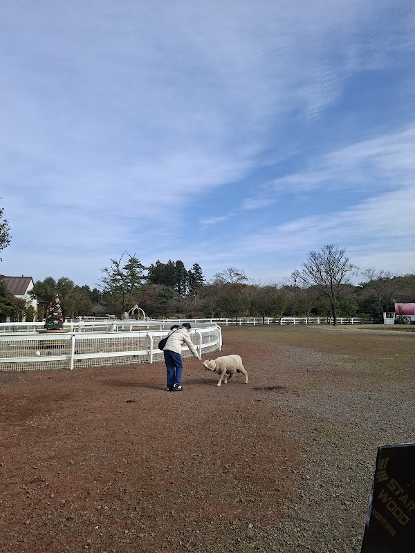 Gilgal farm Land 2