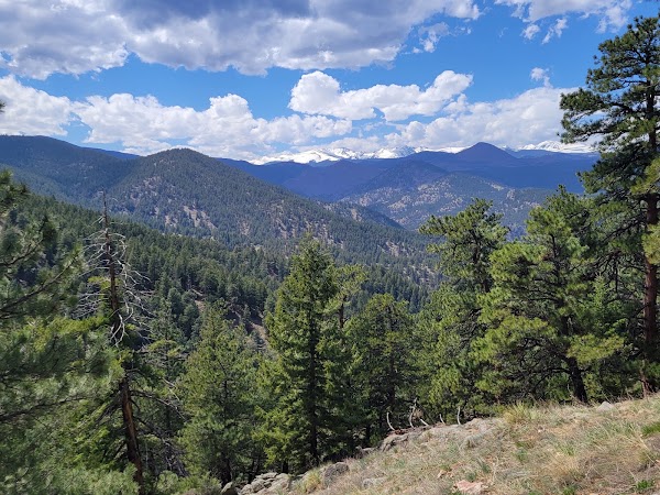 Tenderfoot 1