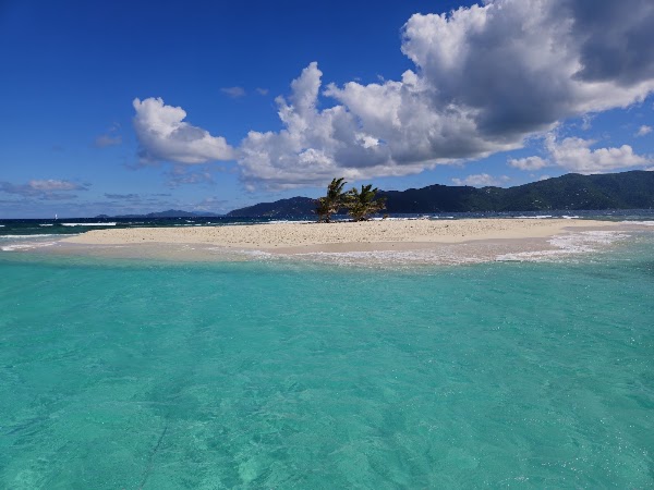 Caribbean 4