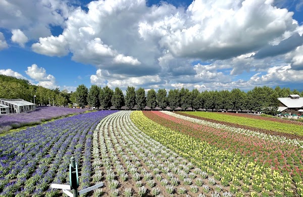 Farm Tomita 4