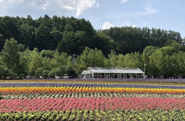 Farm Tomita 3