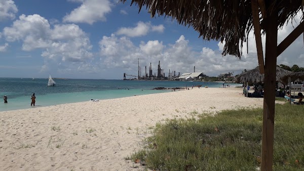 Rodger's Beach 5
