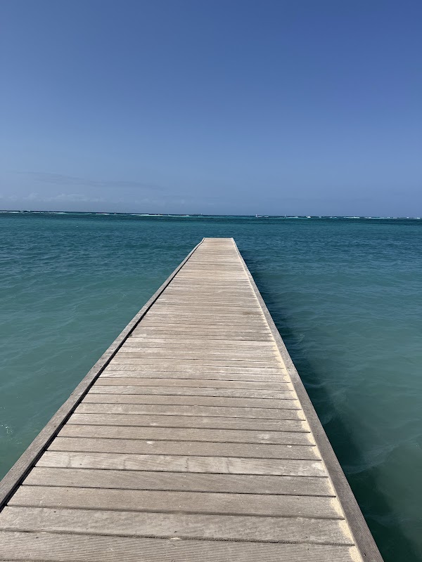 Rodger's Beach 2