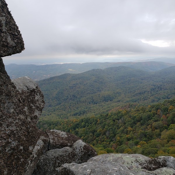 Sharp Top Trail 5