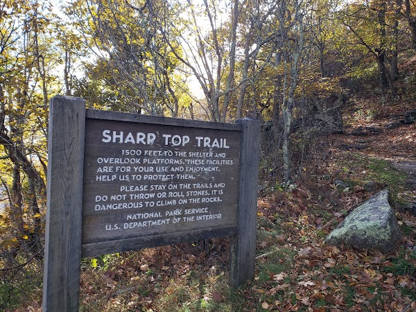 Sharp Top Trail 4