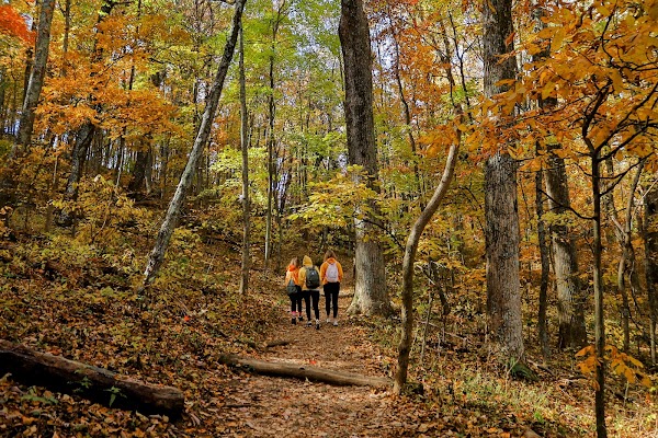 Sharp Top Trail 3