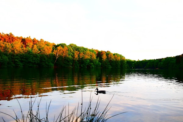 Krumme Lanke