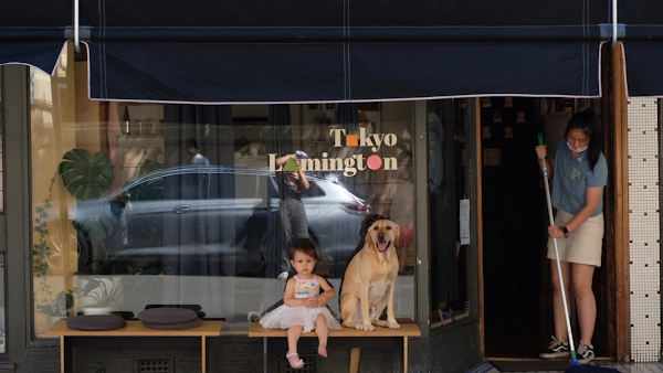 Tokyo Lamington Newtown