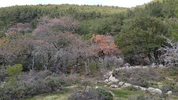 Klapados Waterfall 1