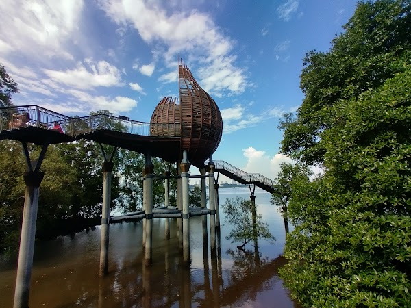 Sungei Buloh Wetland Reserve 1