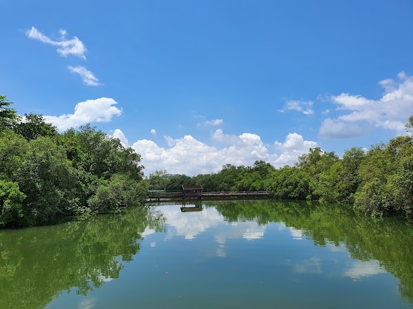 Sungei Buloh Wetland Reserve 5
