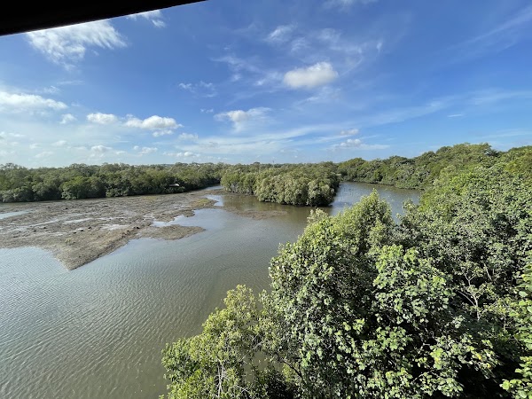 Sungei Buloh Wetland Reserve 4