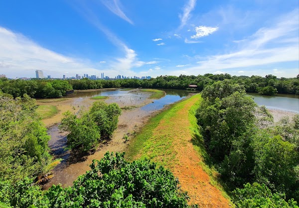 Sungei Buloh Wetland Reserve 3