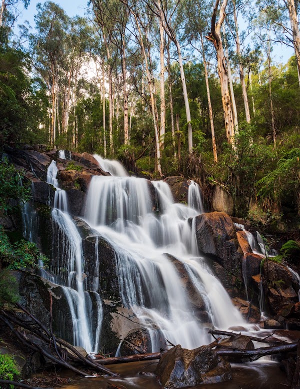 Toorongo Falls Reserve 1