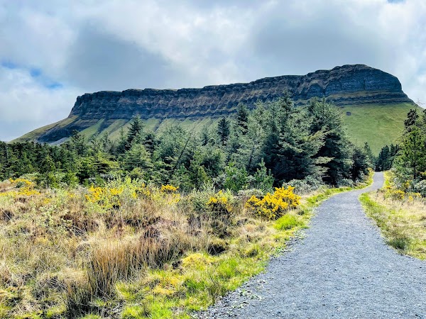 Benbulben Forest Walk