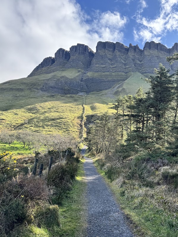 Benbulben Forest Walk 5
