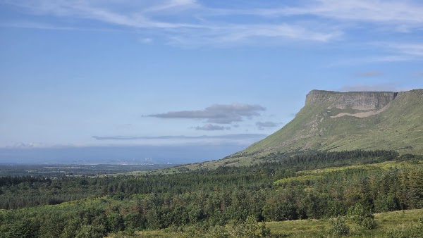 Benbulben Forest Walk 3