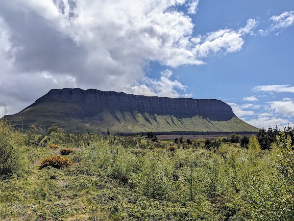 Benbulben Forest Walk 2