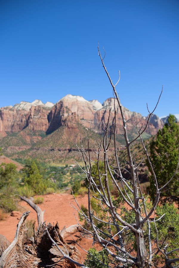 Watchman Trail - Trailhead 4