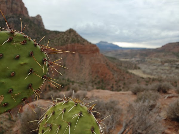 Watchman Trail - Trailhead 2