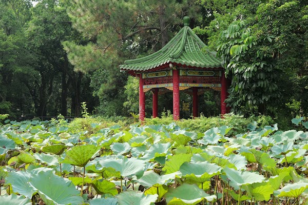 Taipei Botanical Garden 1