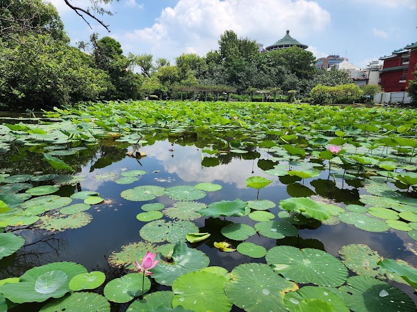 Taipei Botanical Garden 4