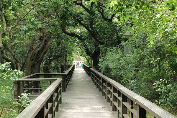 Taipei Botanical Garden 3