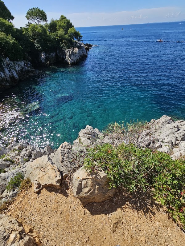 Plage de la Gavinette 4