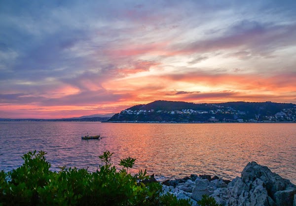 Plage de la Gavinette 3