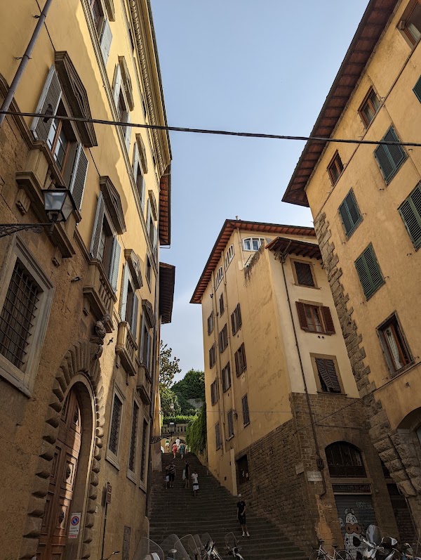 Oltrarno 3