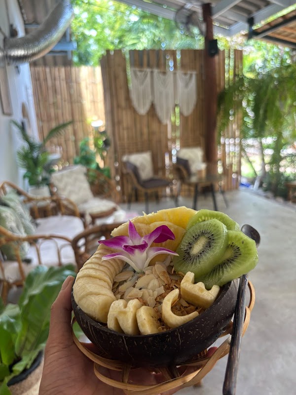 Beach Coconuts Bowls 4