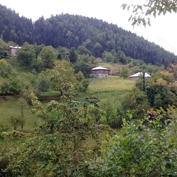 Chanchkhalo 1