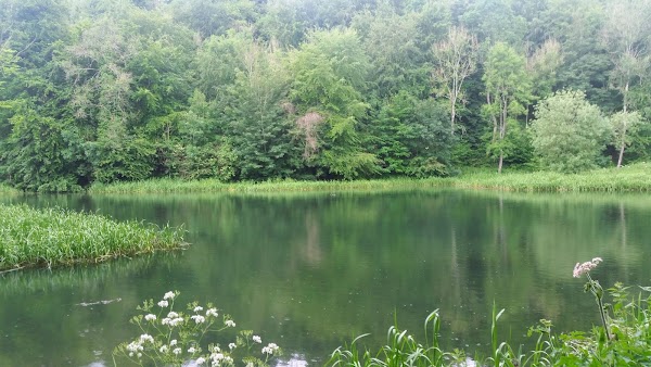 Miserden 5