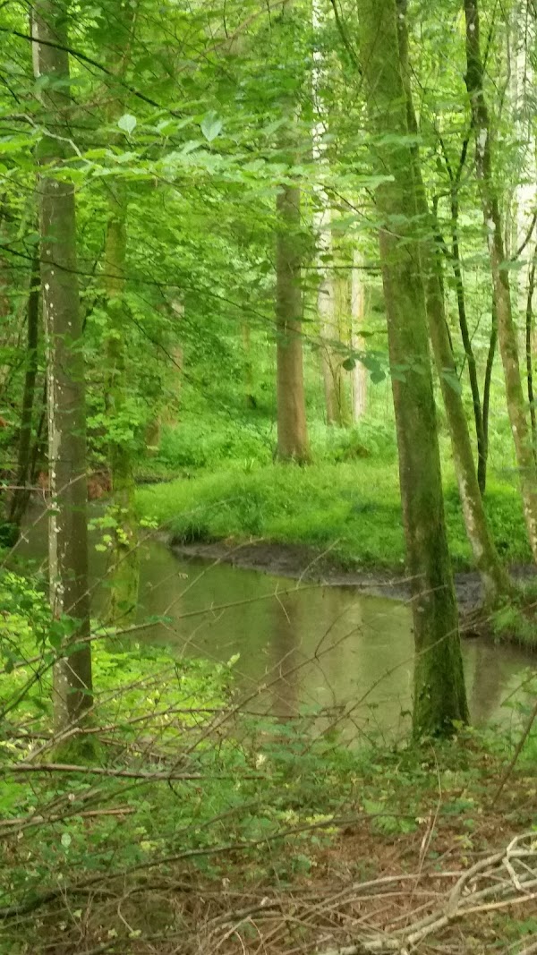 Miserden 2