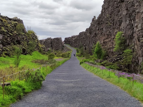 Thingvellir National Park 4