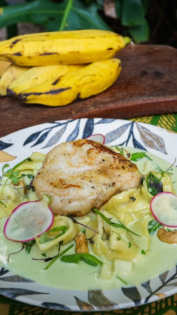 Zazá Bistrô Tropical 4