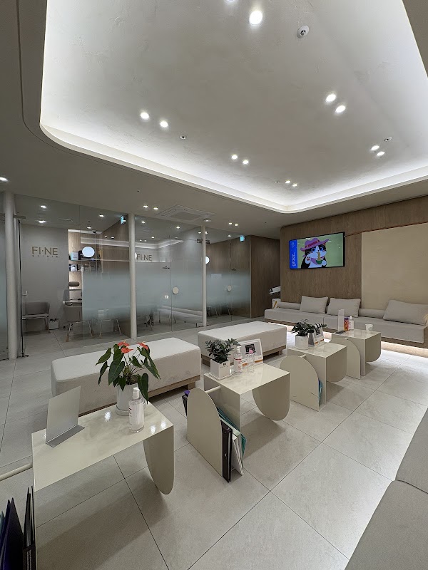 FINE Clinic 4