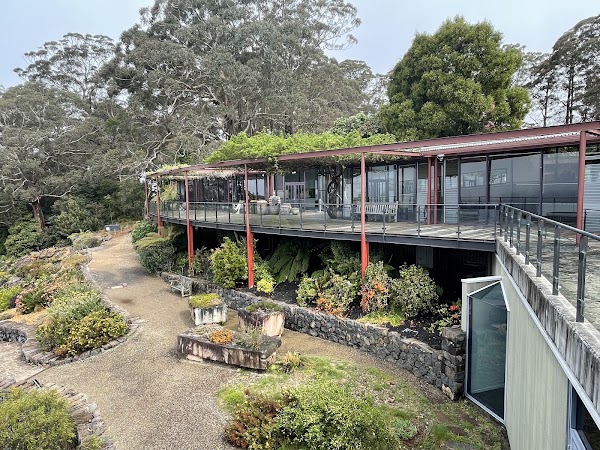 Blue Mountains Botanic Garden Mount Tomah 2