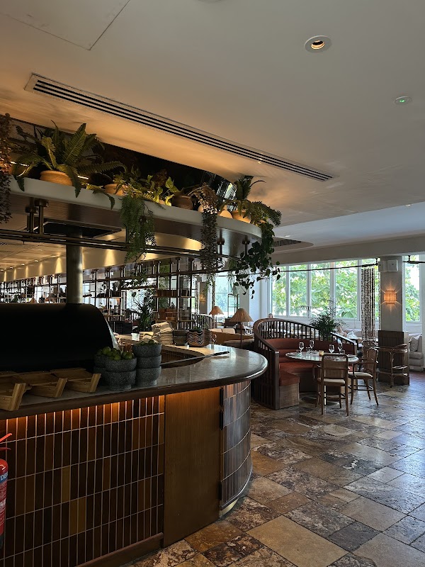 Canary Club 2